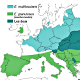 Carte Europe échinococose