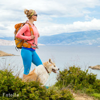 art453 esccap recommandations leishmaniose chien