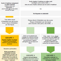 art786 recommandations prevention parasites externes chien chat
