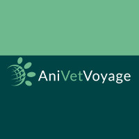 art790 anivetvoyage